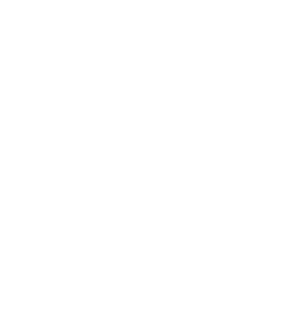 Mobigorod